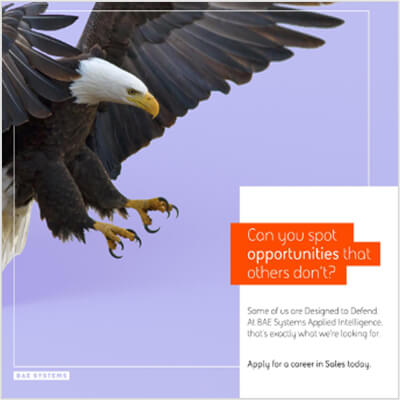 An image of an eagle next to words about why to apply for BAE Systems