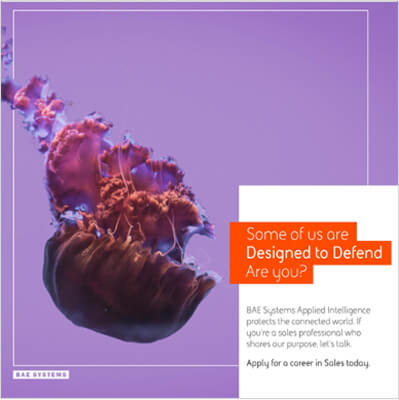 An image of a jellyfish next to words about why to apply for BAE Systems