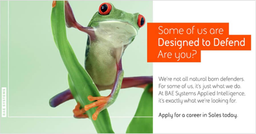 An image of a frog next to words about why to apply for BAE Systems